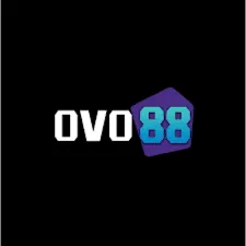 OVO88 - Aplikasi Gambar Digital Terbaik untuk Edit Foto & Desain